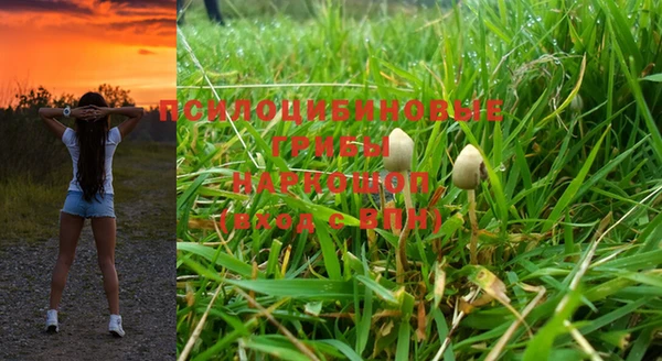 прущие крисы Наволоки
