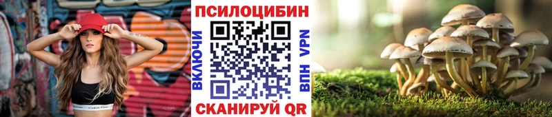 Купить где  Губаха  Галлюциногенные грибы Magic Shrooms 